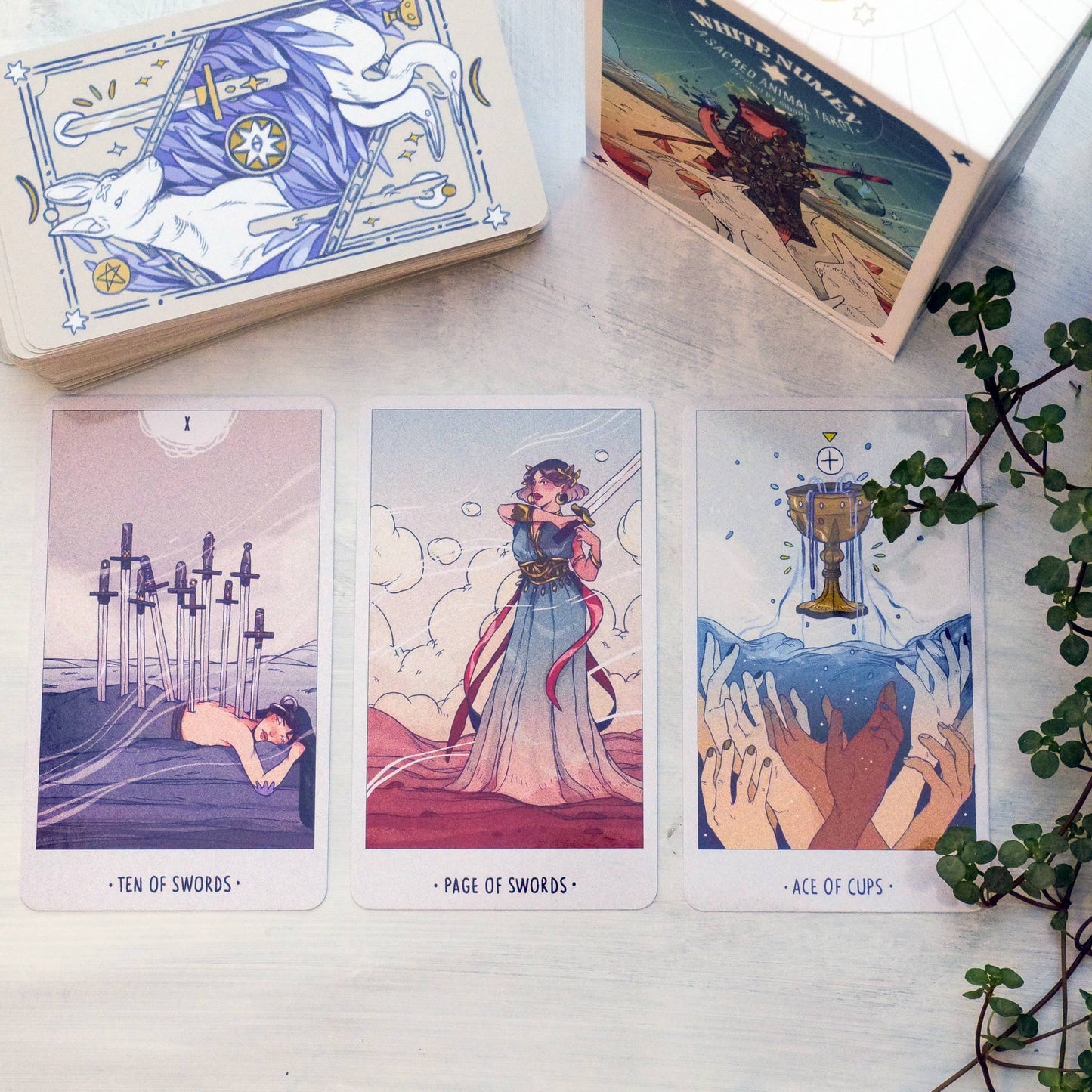 White Numen: A Sacred Animal Tarot Deck